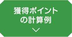 獲得ポイントの計算例