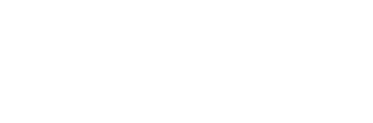 Q&A